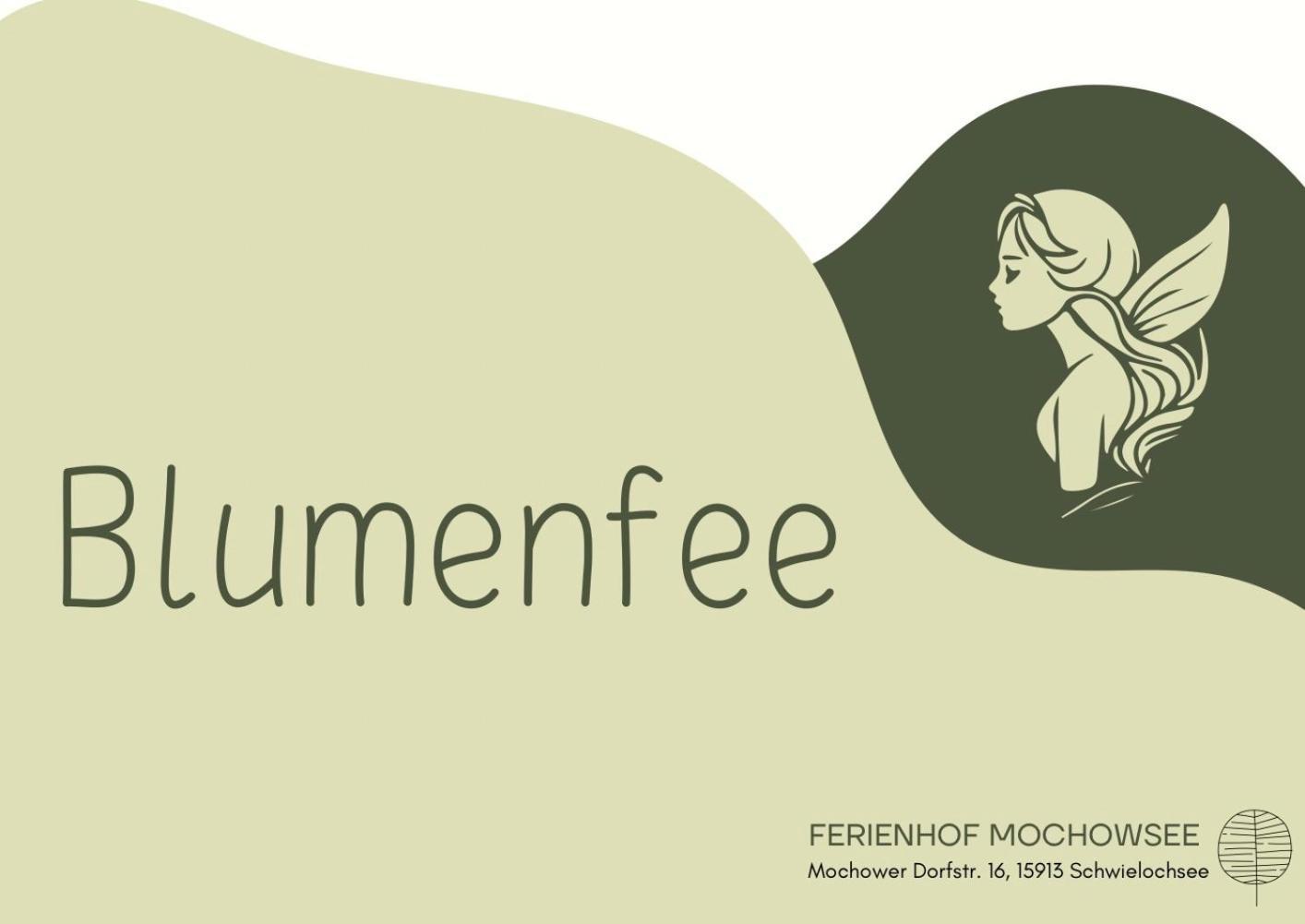 Ferienhof Mochowsee Schwielochsee Værelse billede