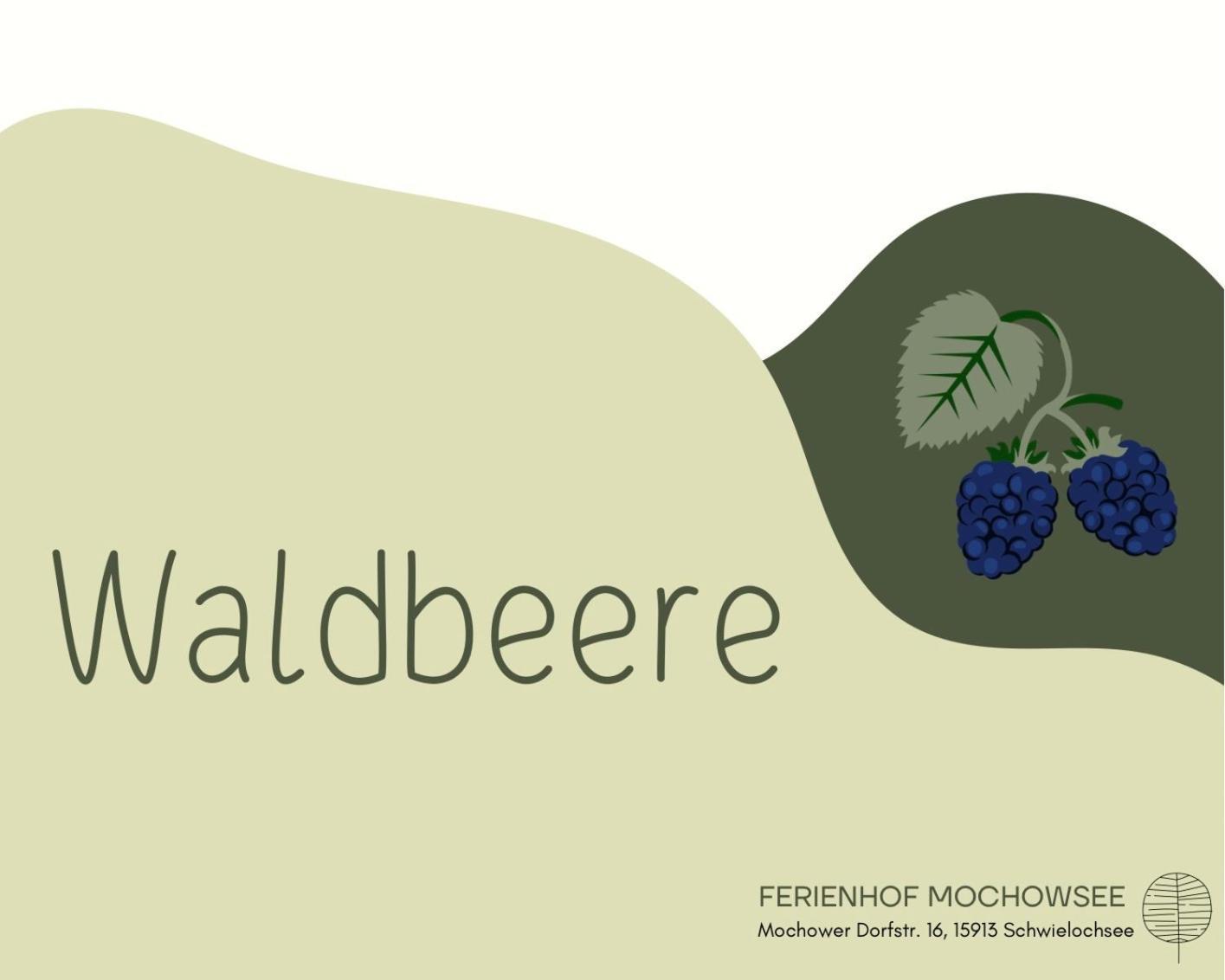 Ferienhof Mochowsee Schwielochsee Værelse billede